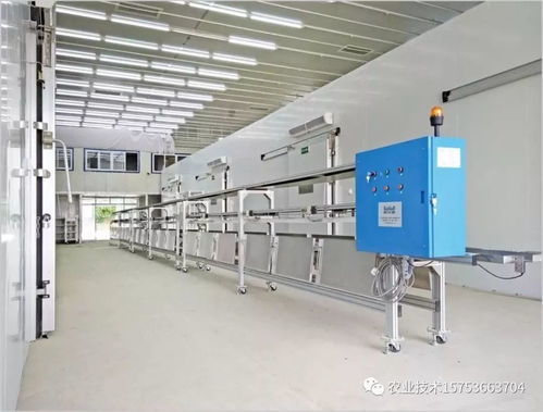 蔬菜工厂化生产 科技时代下的农业变革与科技中介服务