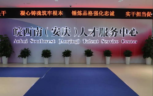 数字安庆 科技中介服务的新蓝海与跨界赋能